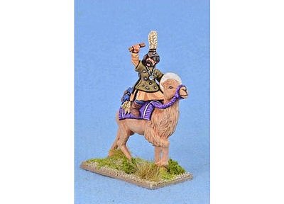 MNC11 Mongol Shaman On Camel (1) 