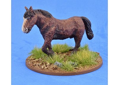 SSC19 Shaggy Pony (Barebacked) (1) 