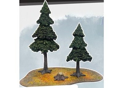 Evergreen Pine Forest 