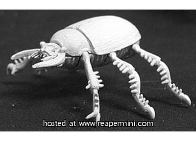 02564: Giant Scarab Beetle 